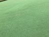 IMG-20210302-WA0003