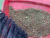 IMG-20210302-WA0010