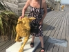 20190706_091426076_iOS